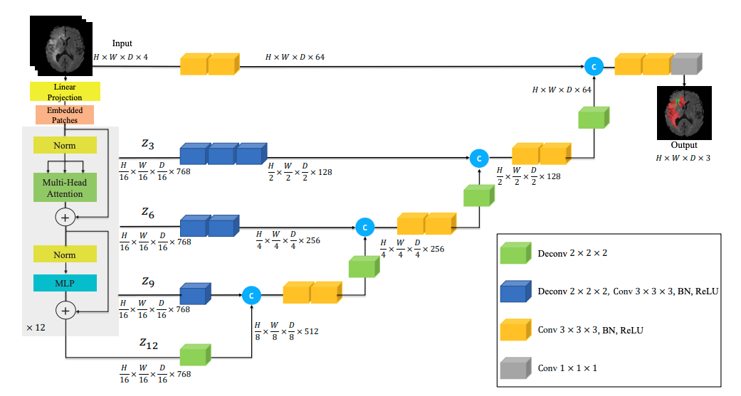 3D Artery Segmentation