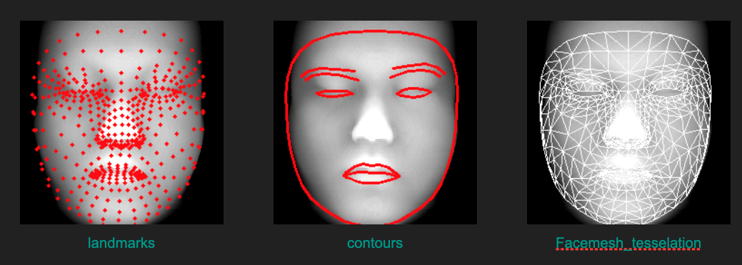Facial Landmark Detection